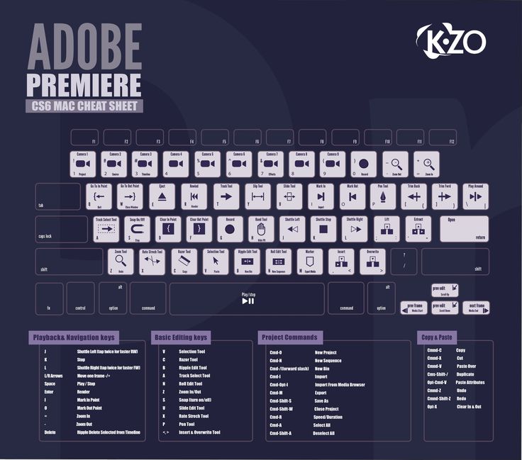 adobe premiere pro cc download size